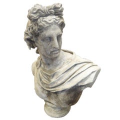Faux Bust Of Apollo Belvedere