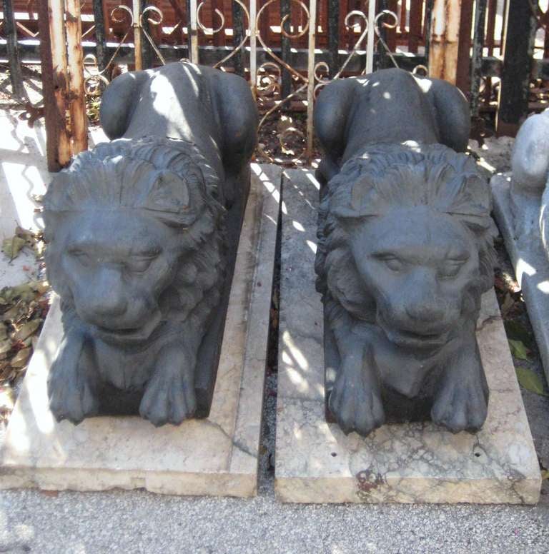 Pair of iron garden statues of reclining lions.
