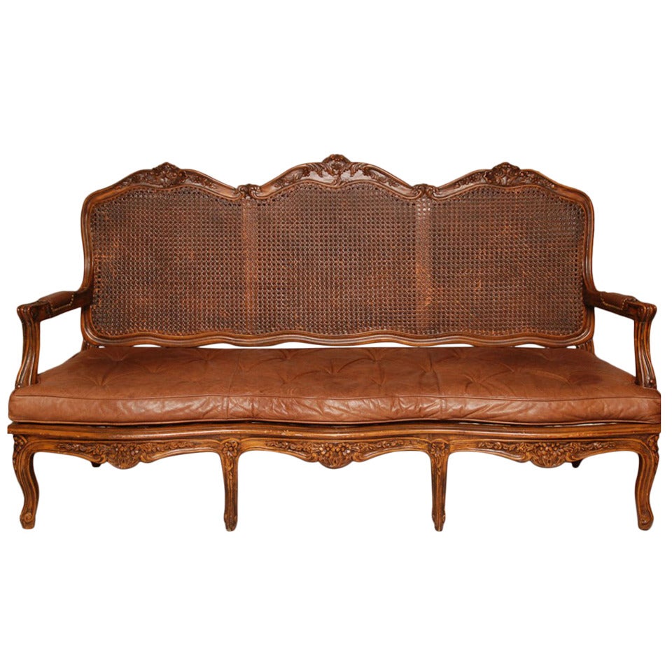 19th c. Provincial French Double Cane Back Settee