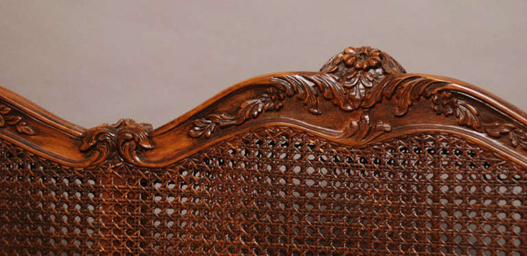 19th Century 19th c. Provincial French Double Cane Back Settee