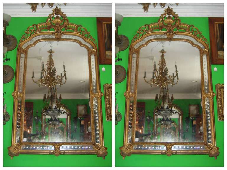 An exquisite pair of 19th c. French Rococo carved gilt-wood mirrors, each with a piece carved crest over an arched mirror plate flanked by fish eye mirrored borders.