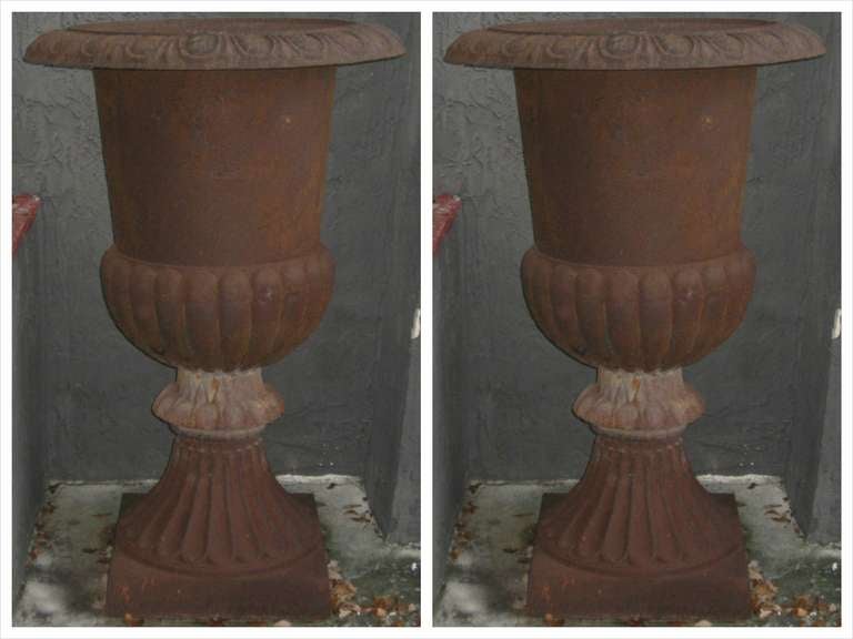 Monumental pair of French cast iron garden urns of inverted bell shape with a gadroon body and egg-and-dart rims, fluted standard on a square base. A lovely weathered patina. 