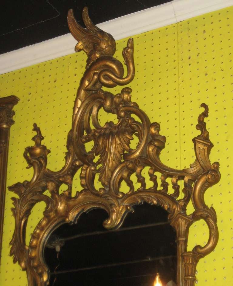 English Georgian Style Carved Gilt-Wood Mirror with Phoenix Bird (K157)