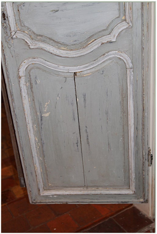 19th Century 19th C. French Painted Door with Grille