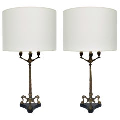 Coppia di lampade in bronzo e marmo del XIX secolo