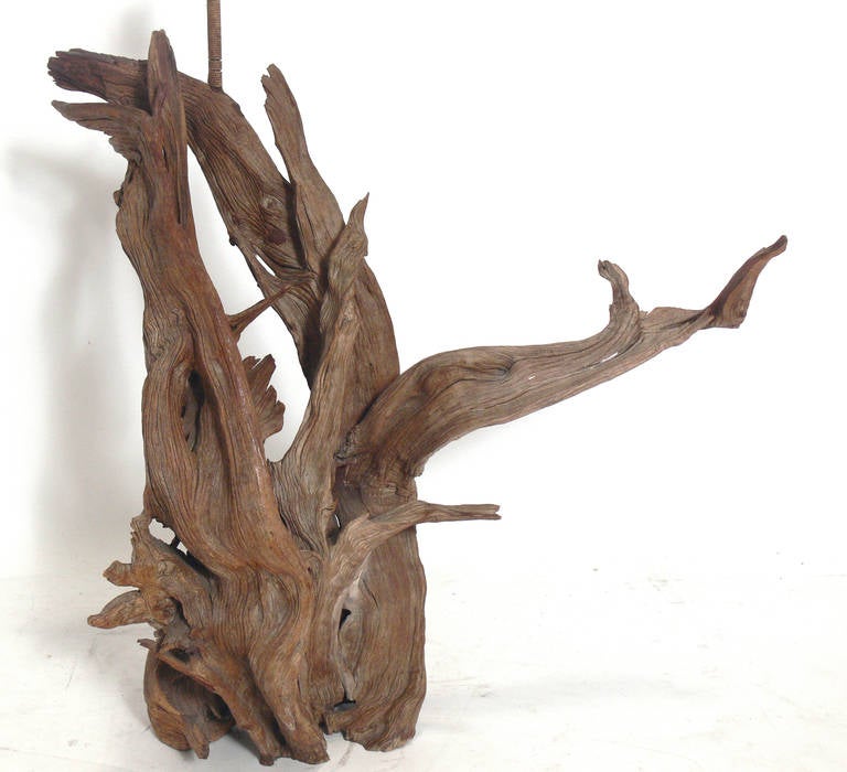 Sculptural Driftwood Lamps, circa 1950s