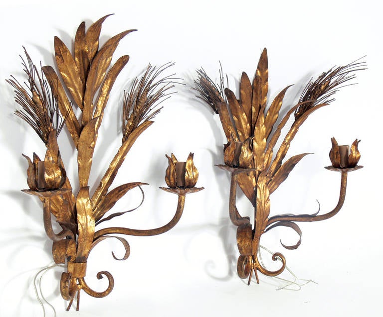 Pair of Italian Gilt Metal Wheat Sconces