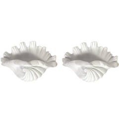 Pair of White Plaster Shell Sconces in the Manner of Serge Roche
