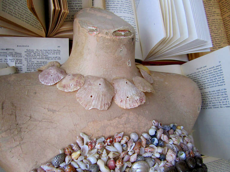 Unknown Sea Shell Bust For Sale