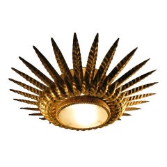 french antique ceiling light