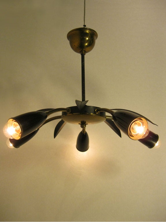 Ceilng Light Fixture