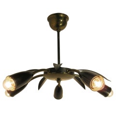 Ceilng Light Fixture