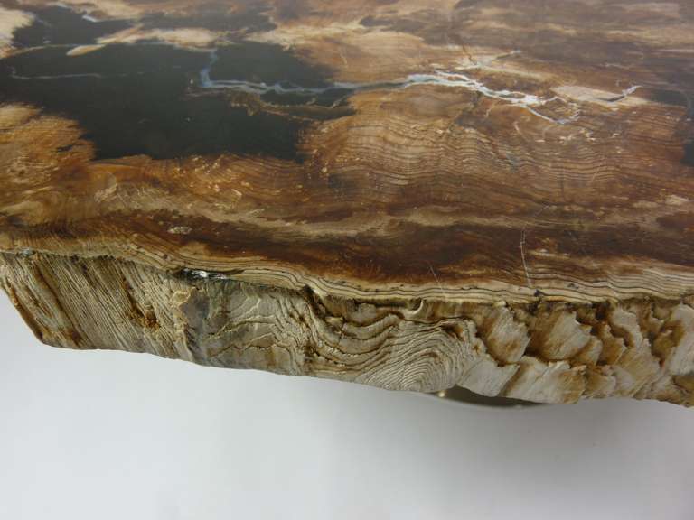 Steel Rare Karl Springer Petrified Wood Coffee Table