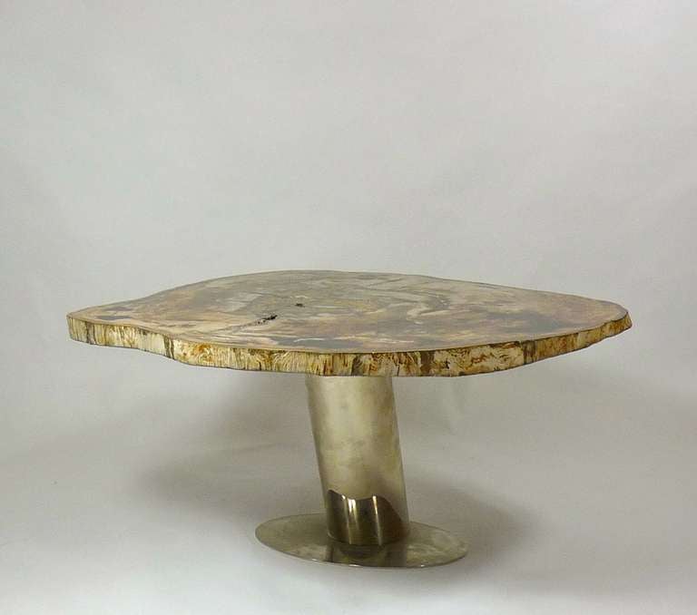 Mid-Century Modern Rare Karl Springer Petrified Wood Coffee Table