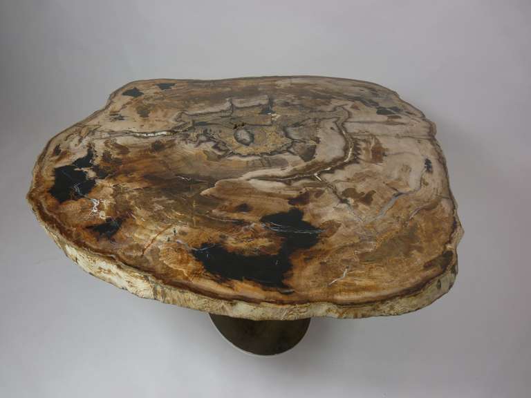 Rare Karl Springer Petrified Wood Coffee Table 1