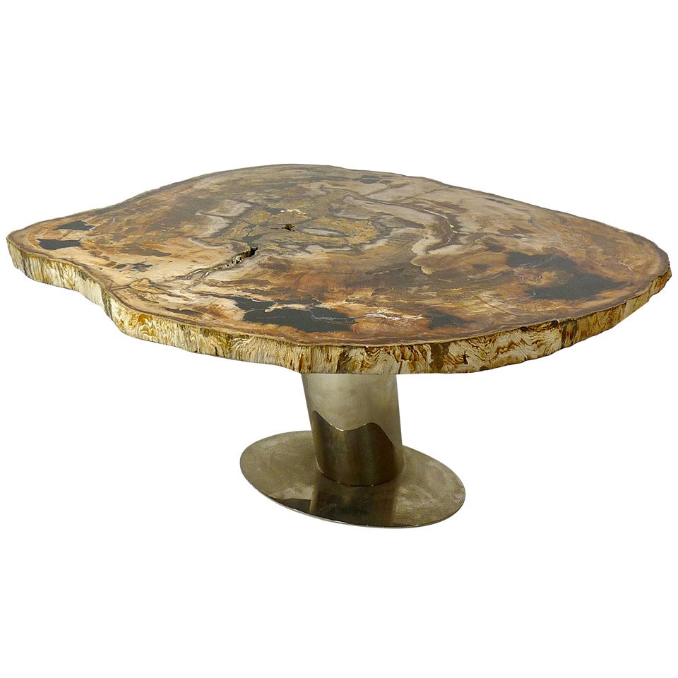 Rare Karl Springer Petrified Wood Coffee Table