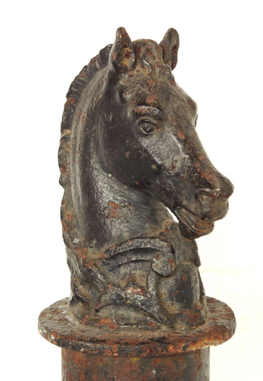 19th Century Cast Iron Horse Head Hitching Post For Sale at 1stDibs