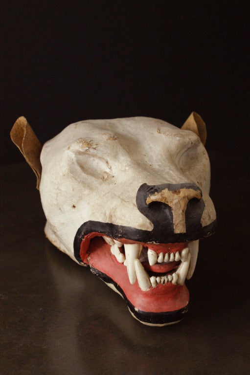 Fantastic vintage taxidermy head mount found in the southwestern United States.
