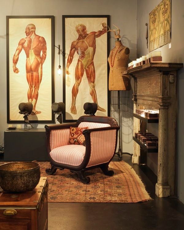 Life Sized German Anatomical Chart Posterior View