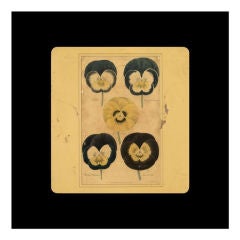 Oversized English Pansy Print