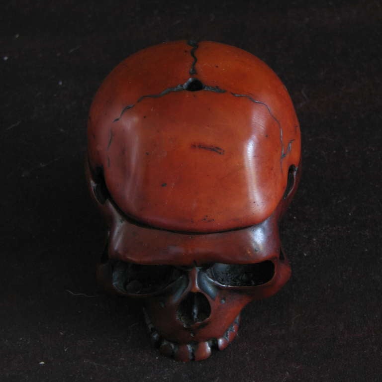 American Elegant and Diminutive Skull Box