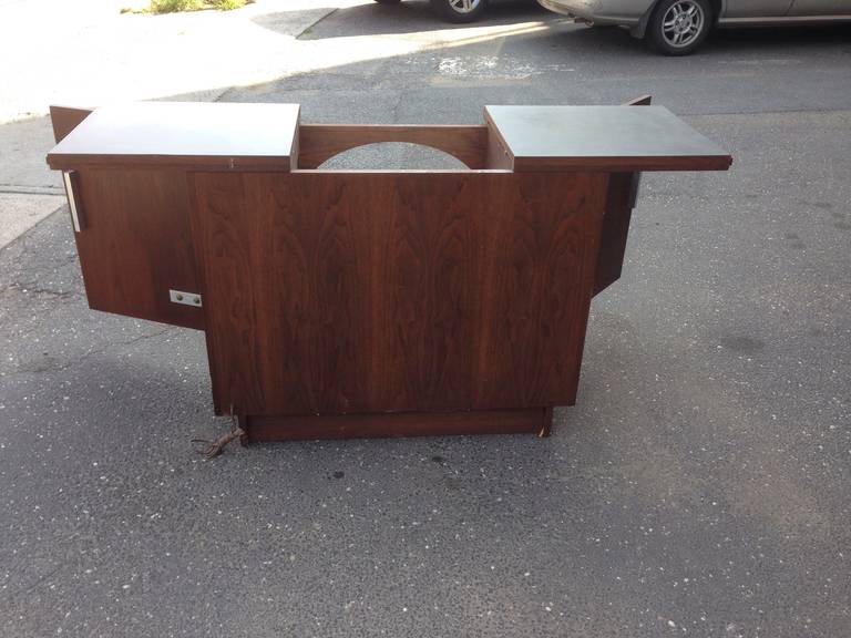 Beautiful Illuminated Expandable Bar In Good Condition For Sale In Bronx, NY