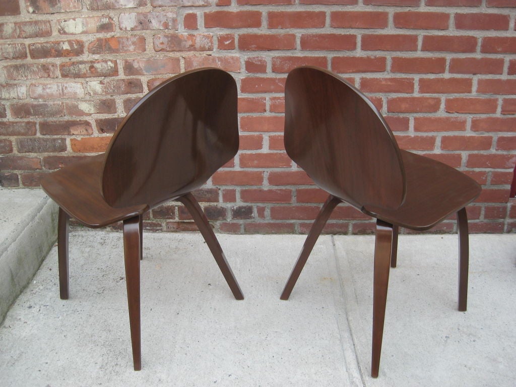 American Pair of Norman Cherner Chairs for Plycraft