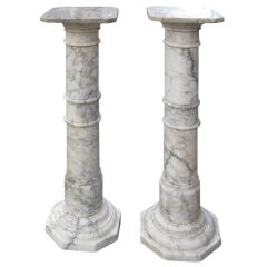 Unmatched Pair of Column Pedestal