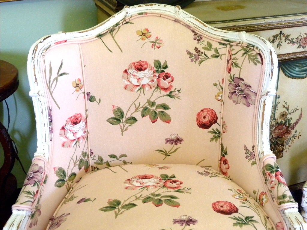 20th Century Charming French Country Paris Salon Chairs PAIR (2) For Sale