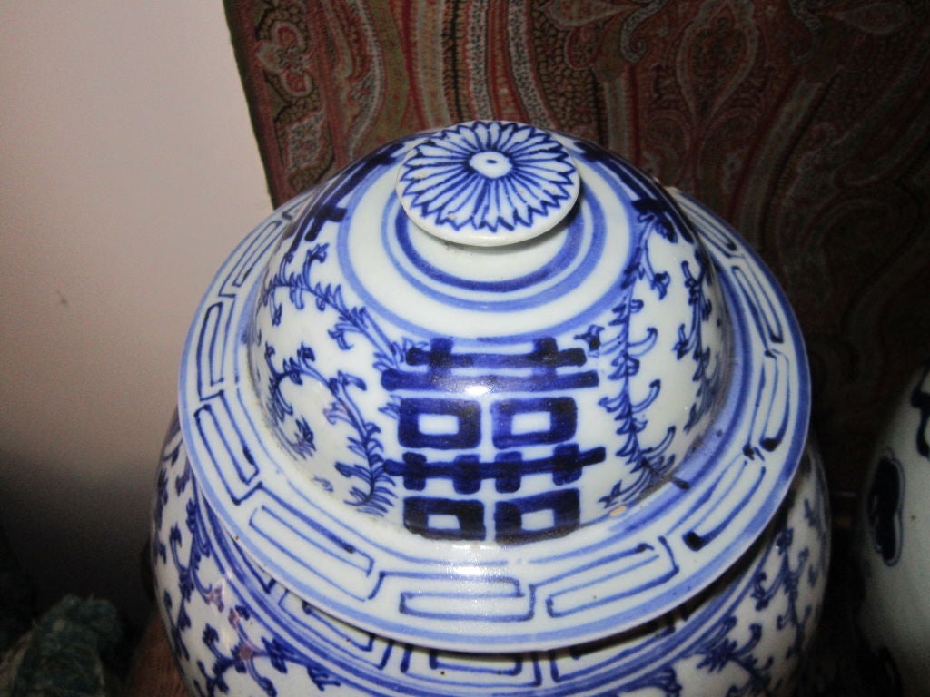 19th Century 19c Collection of Chinese Blue and White Ginger Jars For Sale