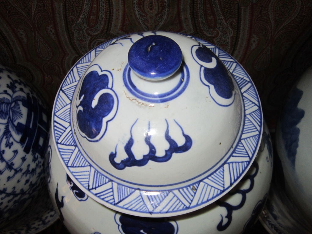 19c Collection of Chinese Blue and White Ginger Jars For Sale 2