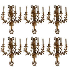 Important Set of SIX French Ormolu Wall Sconces, Appliques, 19th Century