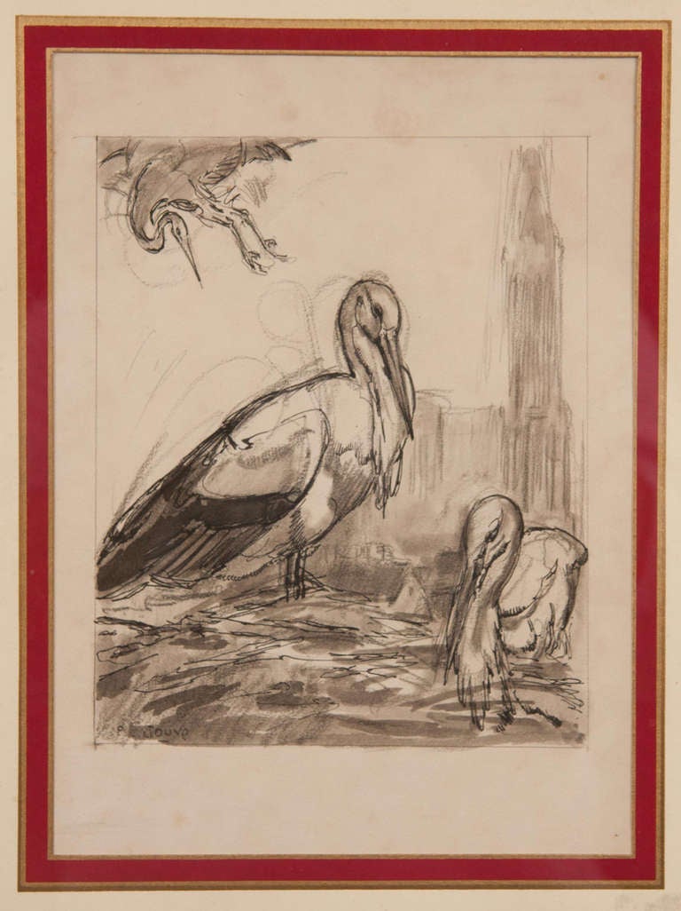 Early 19th Century Drawing of Storks