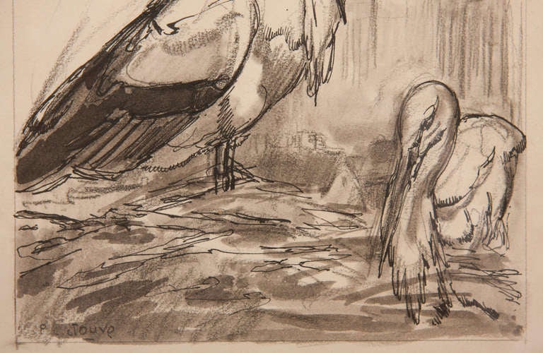 Early 19th Century Drawing of Storks For Sale 1