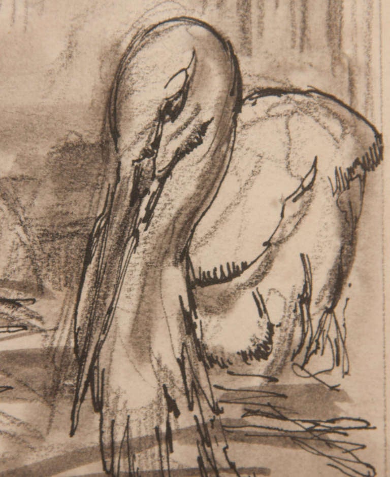 Mid-20th Century Early 19th Century Drawing of Storks For Sale