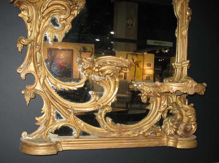 19th Century Pair of Mid. 19th C Rococo Gilt Mirrors