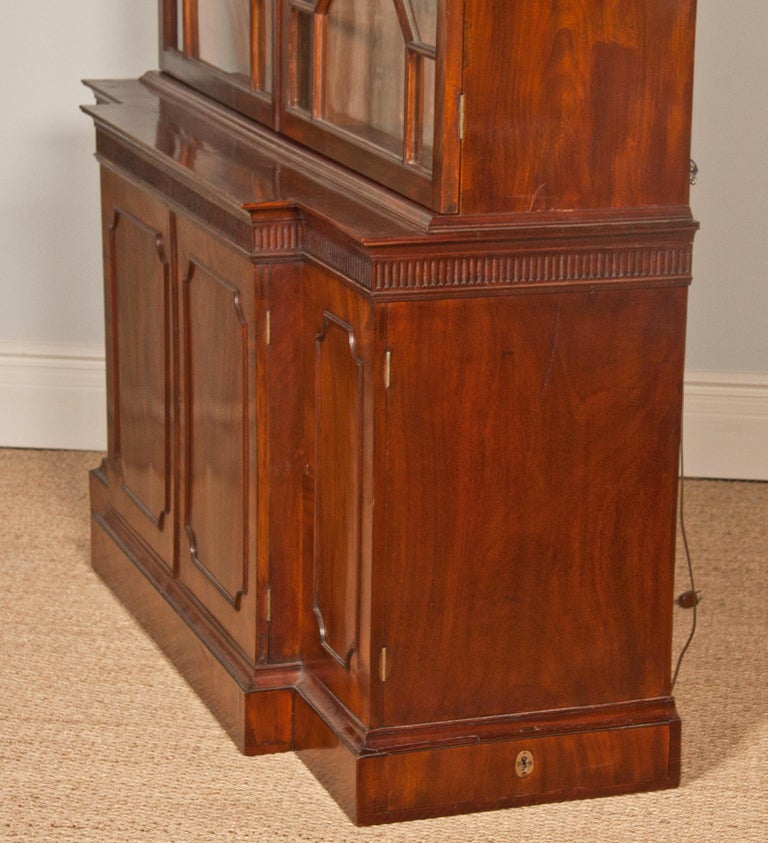 George III Early 19th Century Bookcase For Sale 3