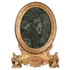 A Toilet Mirror
