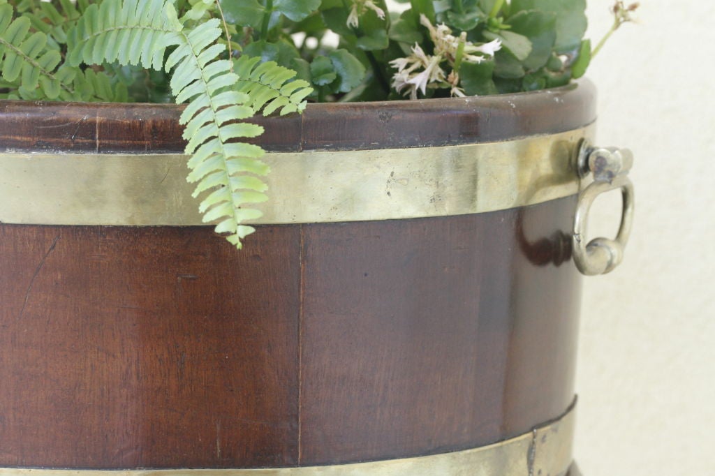 An English Late 18th Century Mahogany Brass Bound Wine Cooler on Stand