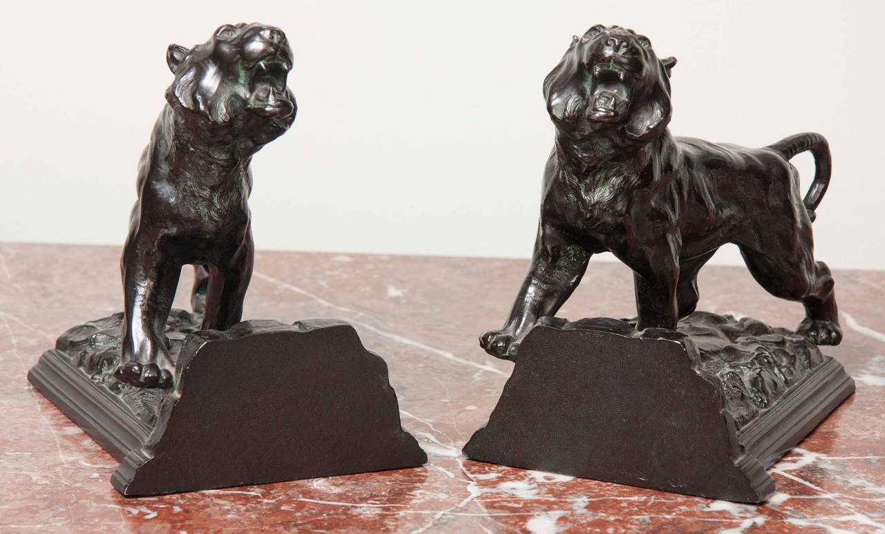 Pair of Lion Form Bookends 1