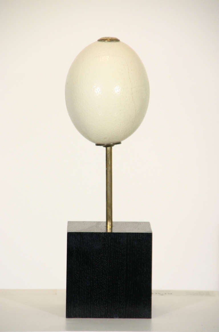Brass Mounted Ostrich Egg