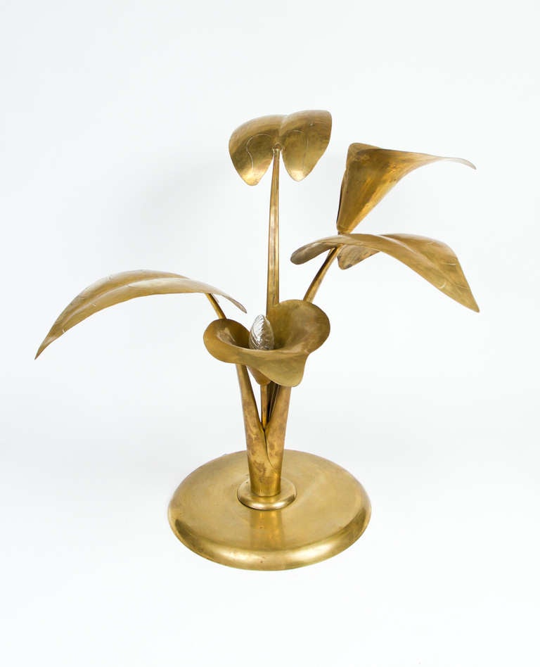 Interesting foliated form brass lamp  on a circular base.