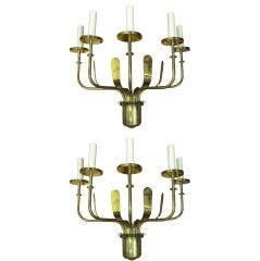 Large Pair of Polished Brass Five Light Wall Sconces