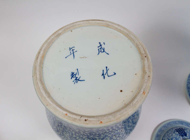 Qing Dynasty Ginger Jars 5
