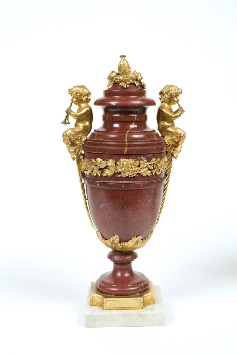 French Beautiful Pair of Neoclassical Style Gilt Bronze and Marble Urns For Sale