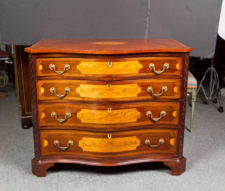 Beautiful Georgian mahogany serpentine front chest of drawers extensively inlaid with satinwood, sycamore and boxwood. The canted corners decorated with open fretwork. Fitted with fire gilt cast bronze pulls.