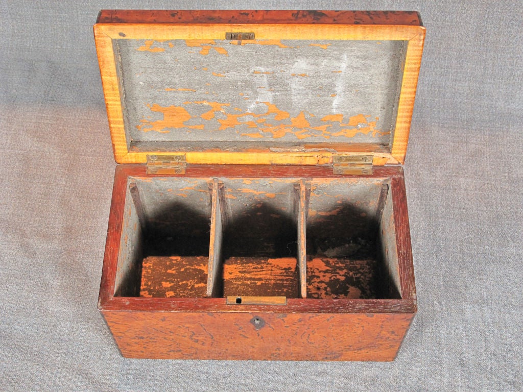 19th Century Burl Walnut Tea Caddy 3