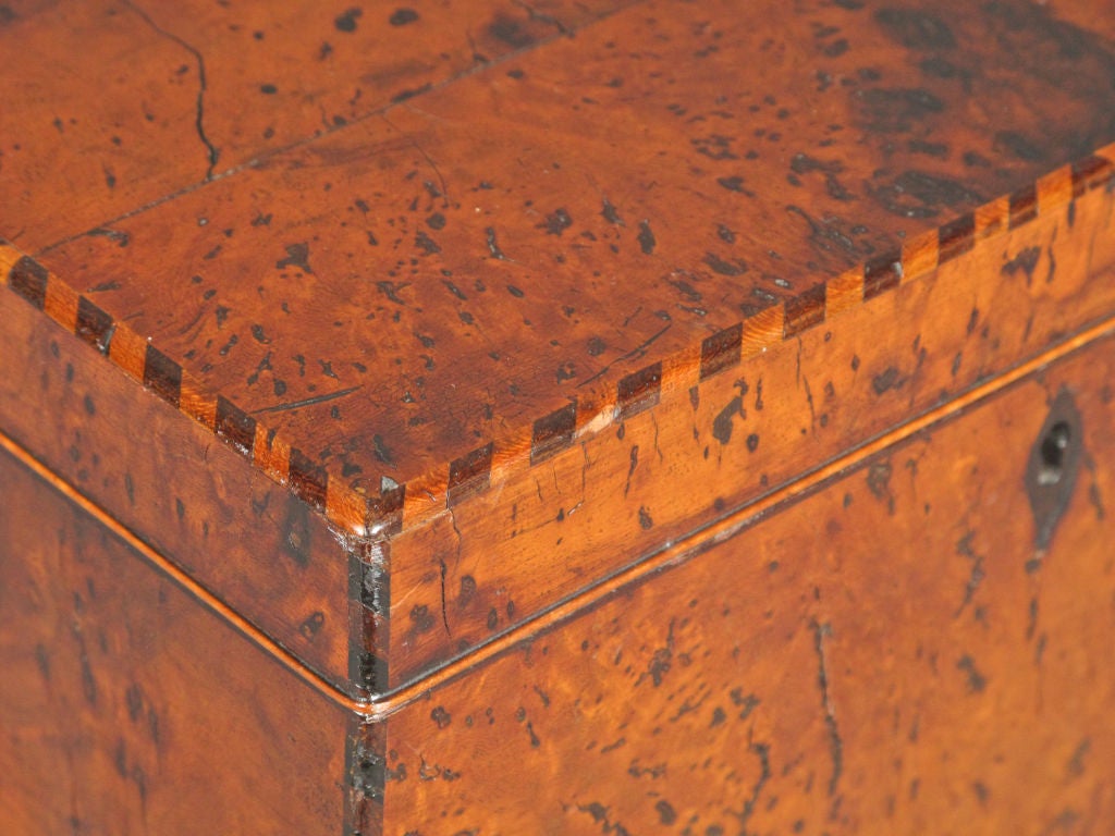 19th Century Burl Walnut Tea Caddy 6