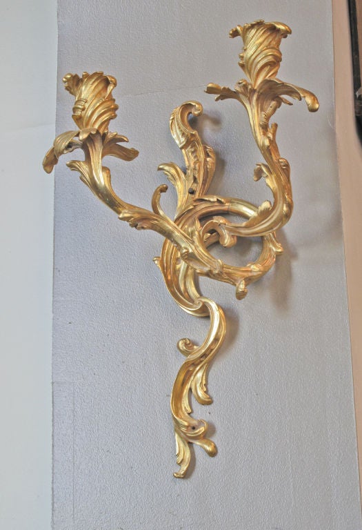 large pair of finely cast gilt bronze Louis XV style two arm sconces.