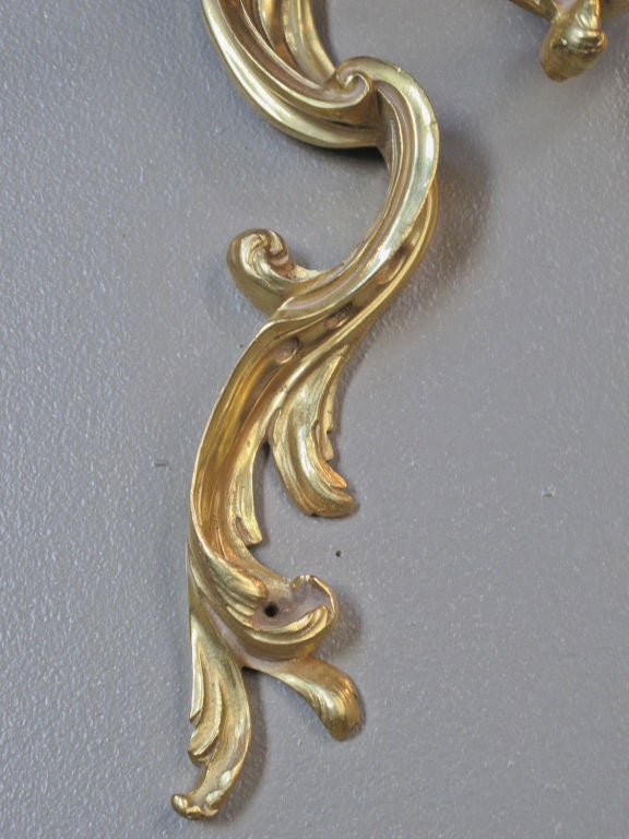 Pair of Gilt Bronze Louis XV Sconces In Excellent Condition In Montreal, QC